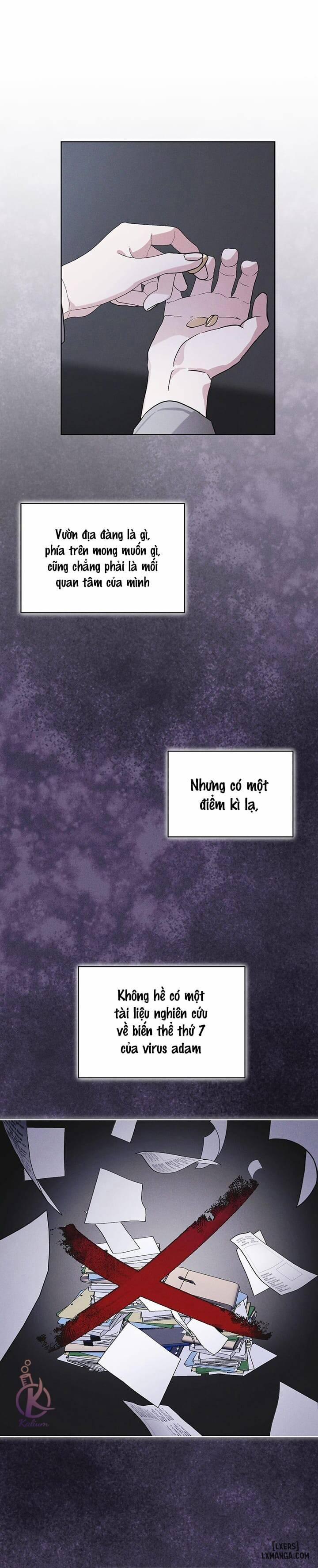 Thành Phố Cầu Vồng 19 trang 11