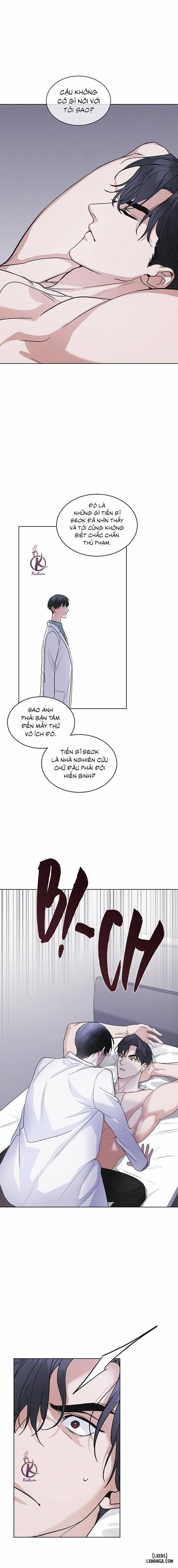 Thành Phố Cầu Vồng 31 trang 11