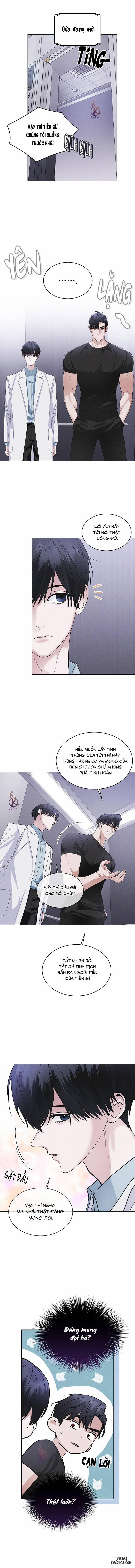 Thành Phố Cầu Vồng 39 trang 12