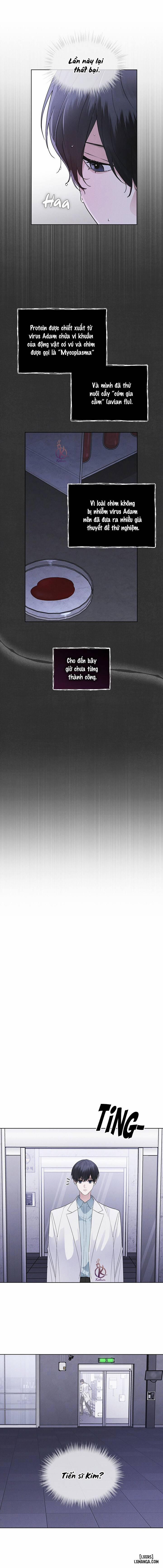 Thành Phố Cầu Vồng 39 trang 5