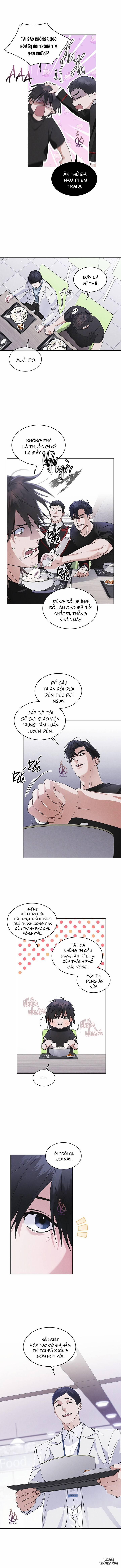 Thành Phố Cầu Vồng 40 trang 5