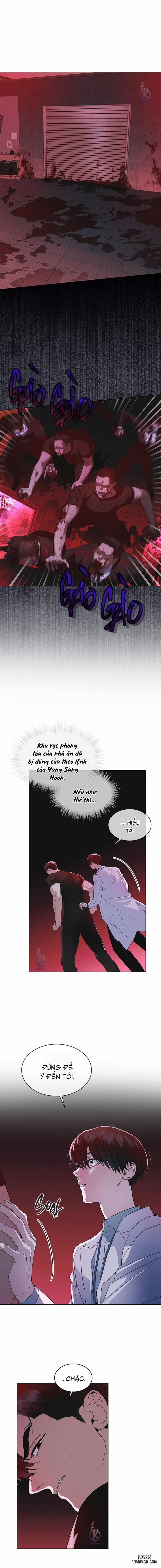 Thành Phố Cầu Vồng 41 trang 0