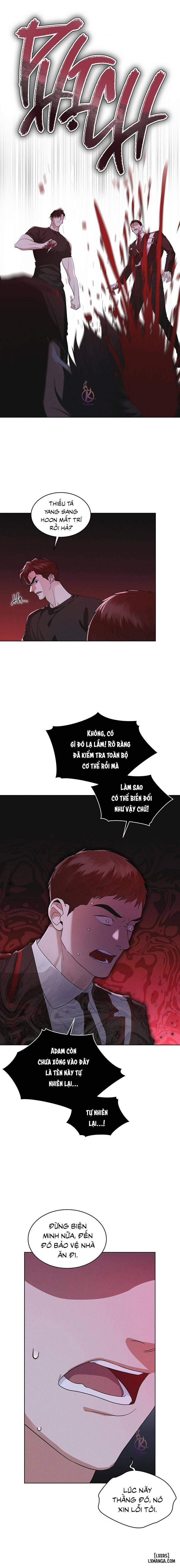 Thành Phố Cầu Vồng 41 trang 2