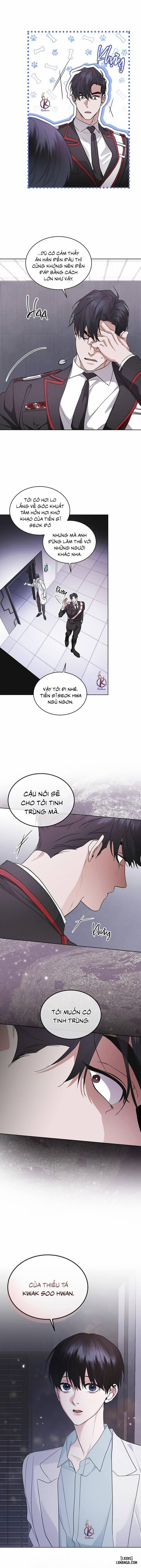 Thành Phố Cầu Vồng 46 trang 7