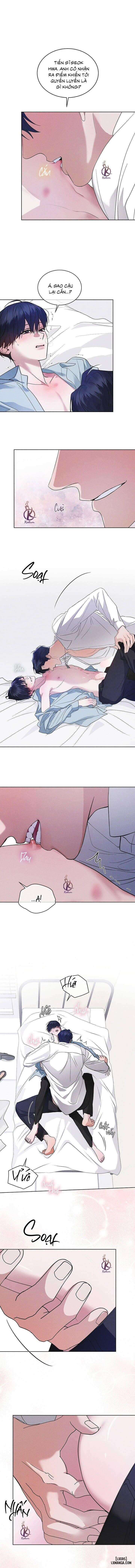 Thành Phố Cầu Vồng 48 trang 0