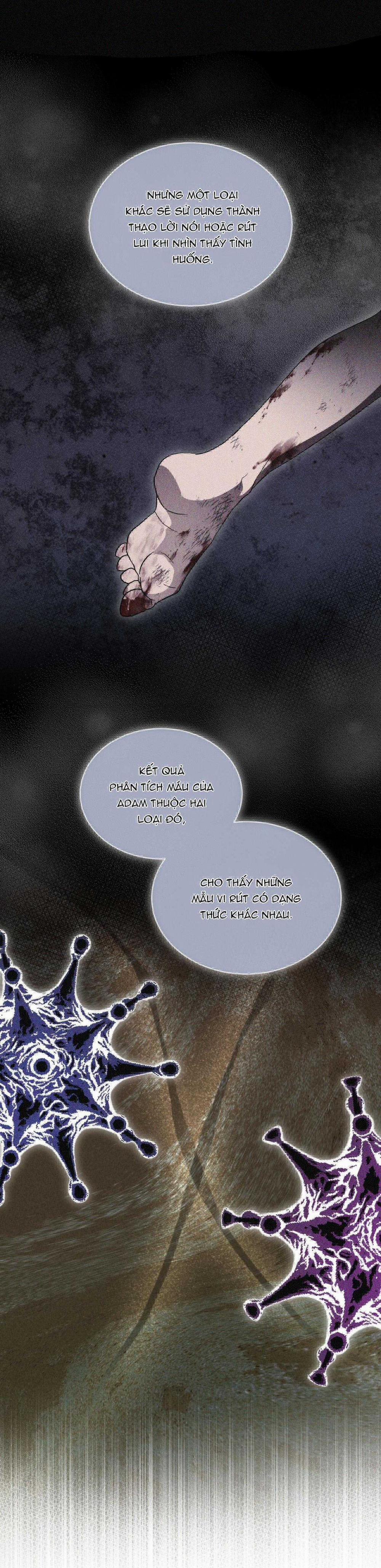 Thành Phố Cầu Vồng 51 trang 19