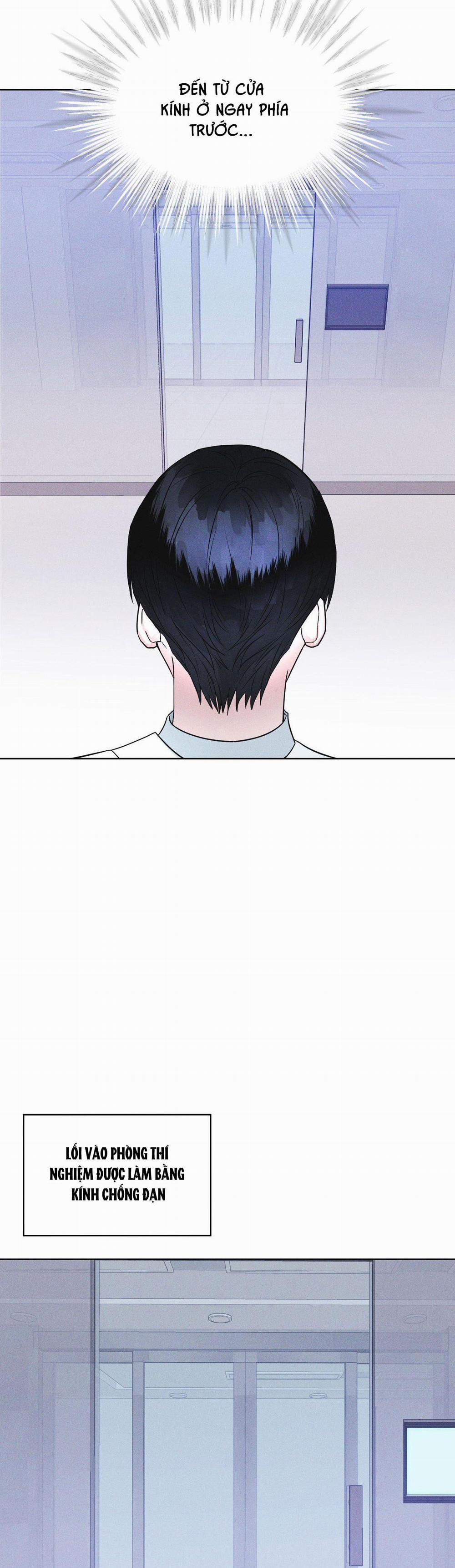 Thành Phố Cầu Vồng 8 trang 13