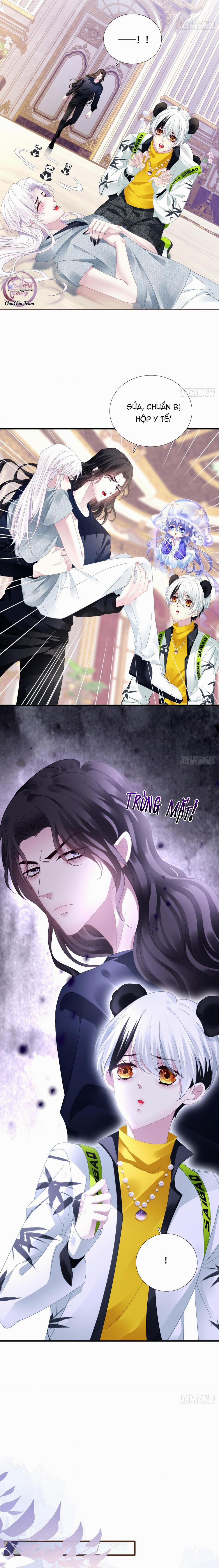 Thánh Tâm Không Dễ Chọc 31 trang 10