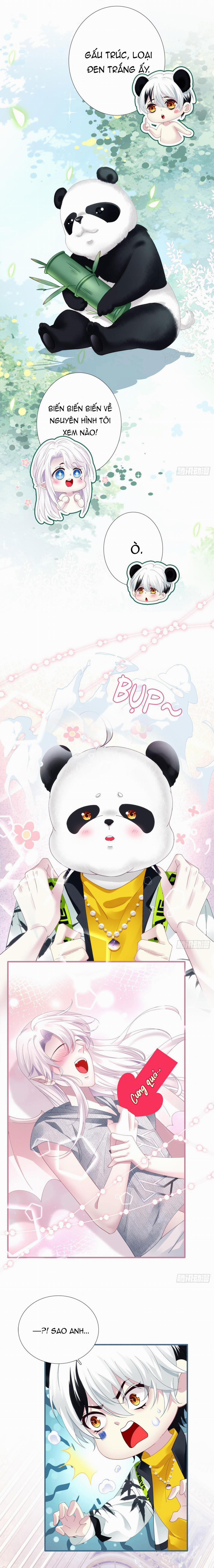 Thánh Tâm Không Dễ Chọc 31 trang 9