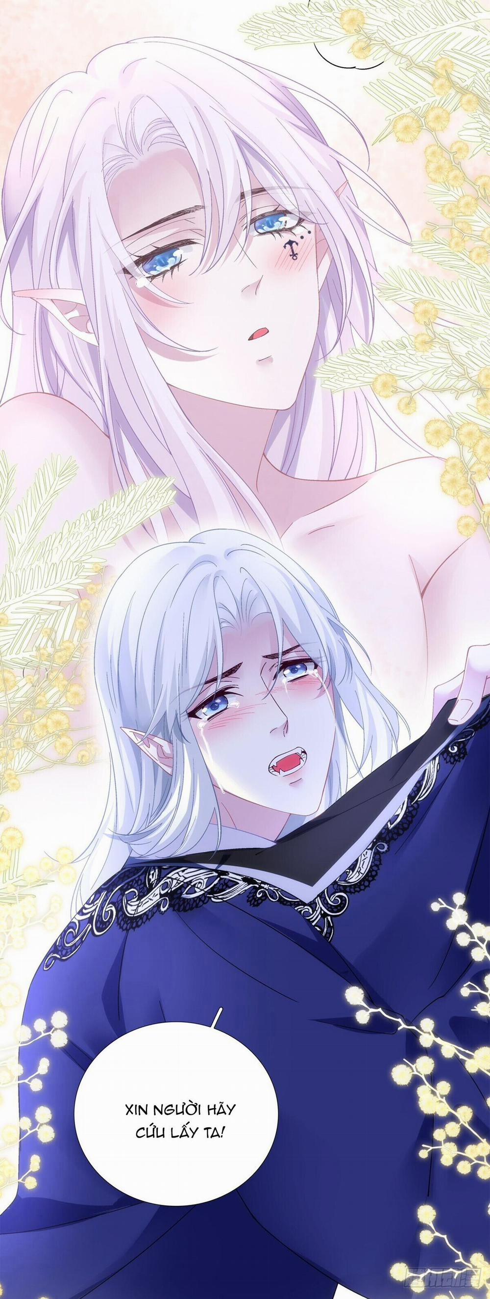 Thánh Tâm Không Dễ Chọc 36 trang 15