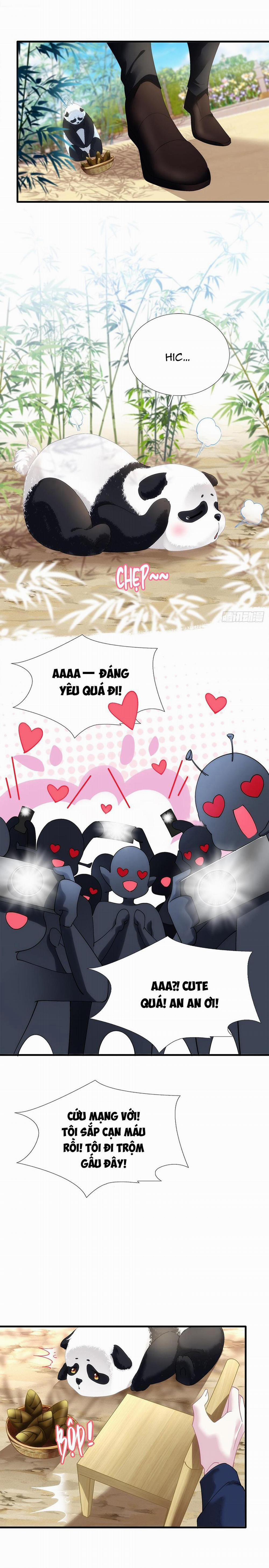 Thánh Tâm Không Dễ Chọc 38 trang 5