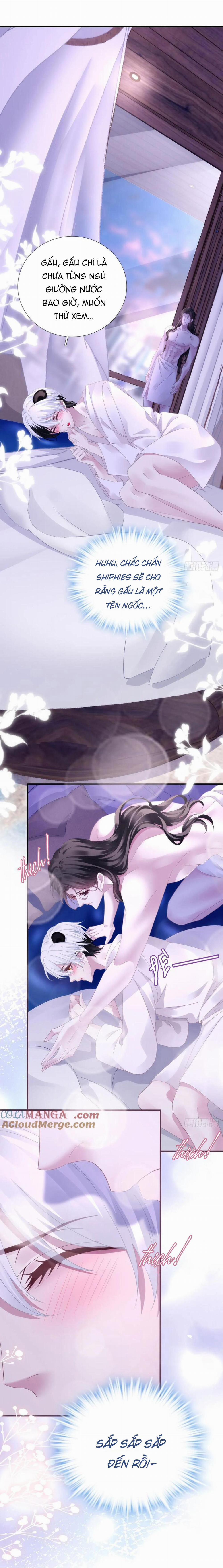 Thánh Tâm Không Dễ Chọc 43 trang 3