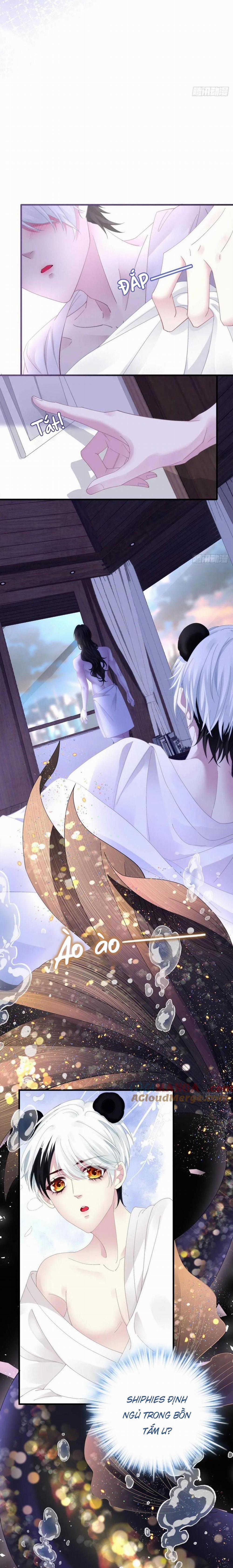 Thánh Tâm Không Dễ Chọc 43 trang 4