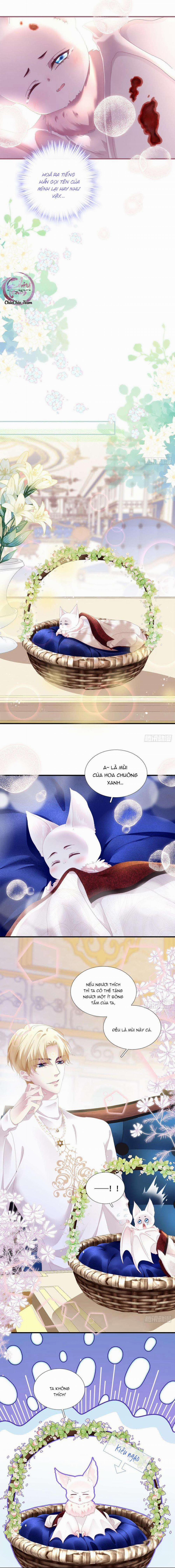 Thánh Tâm Không Dễ Chọc 5 trang 9