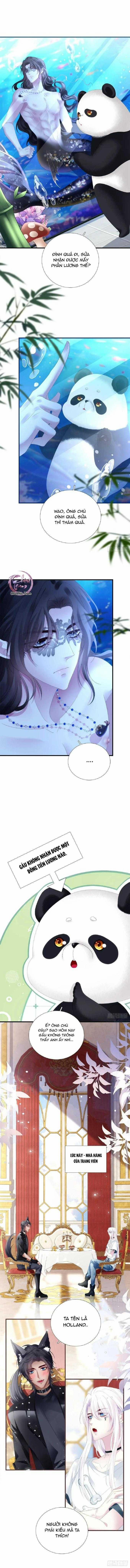 Thánh Tâm Không Dễ Chọc 51 trang 7