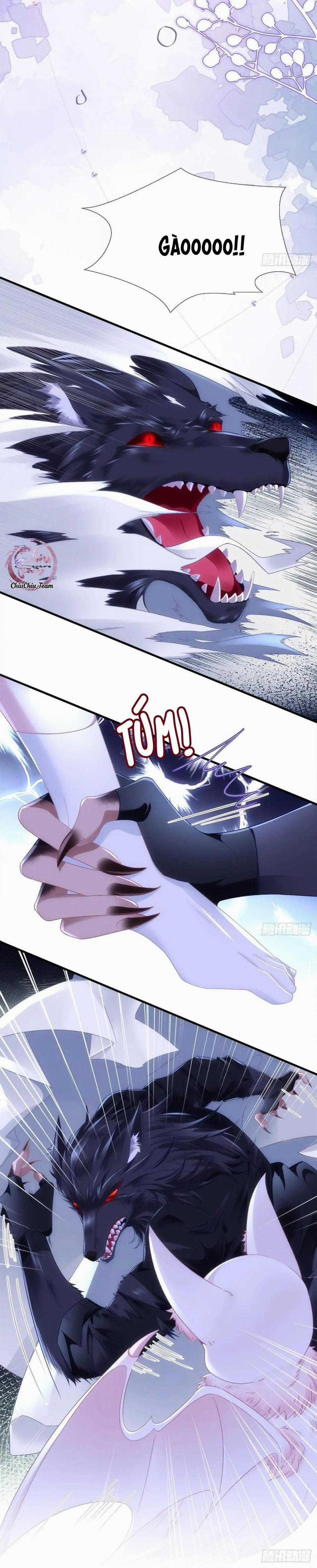 Thánh Tâm Không Dễ Chọc 52 trang 12