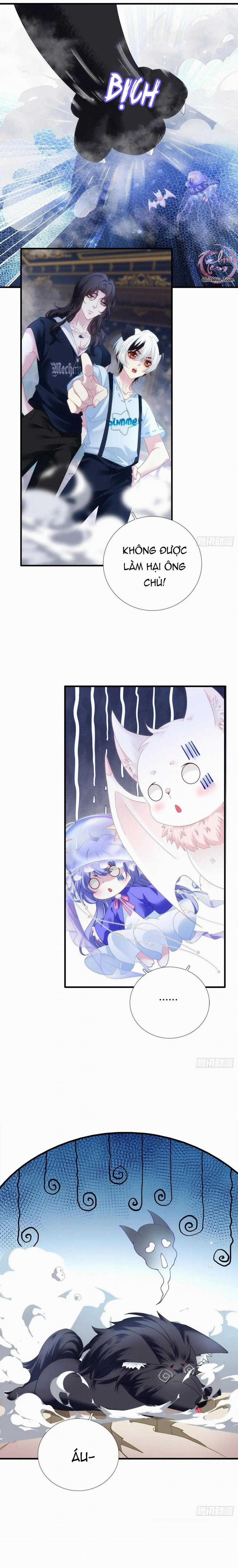 Thánh Tâm Không Dễ Chọc 52 trang 14