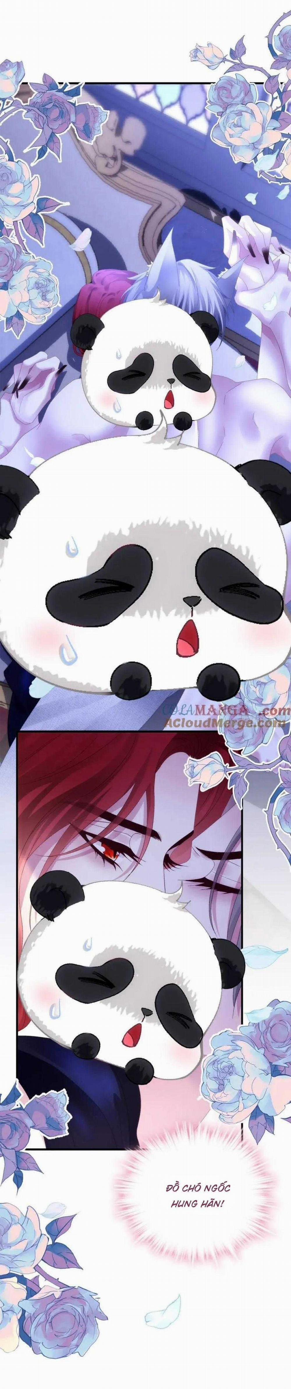 Thánh Tâm Không Dễ Chọc 56 trang 5