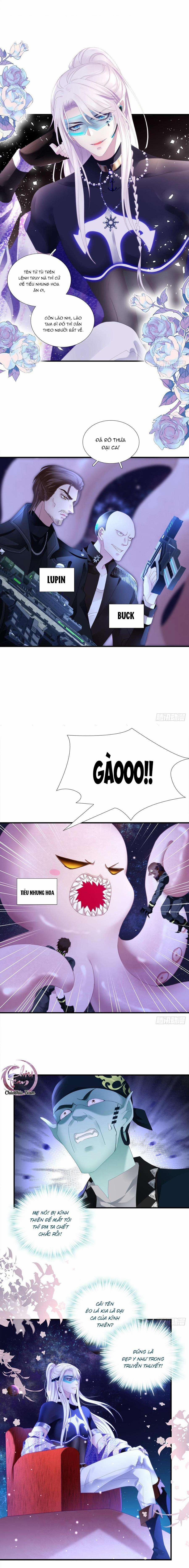 Thánh Tâm Không Dễ Chọc 6 trang 3