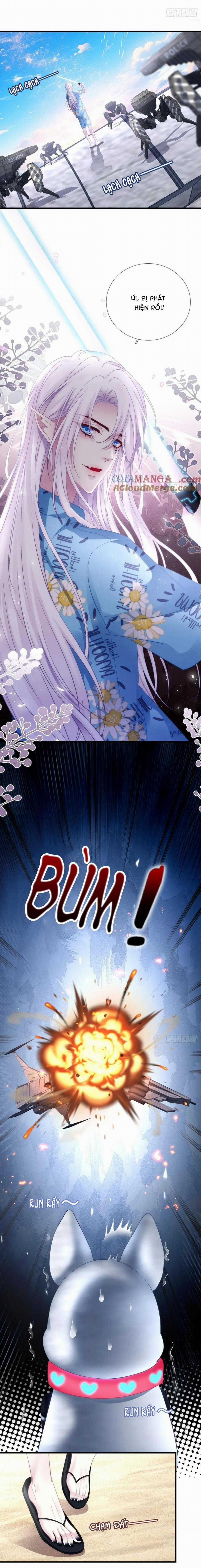 Thánh Tâm Không Dễ Chọc 70 trang 13