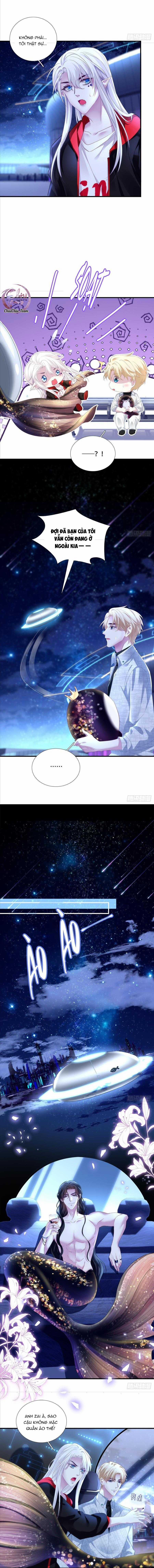 Thánh Tâm Không Dễ Chọc 8 trang 3