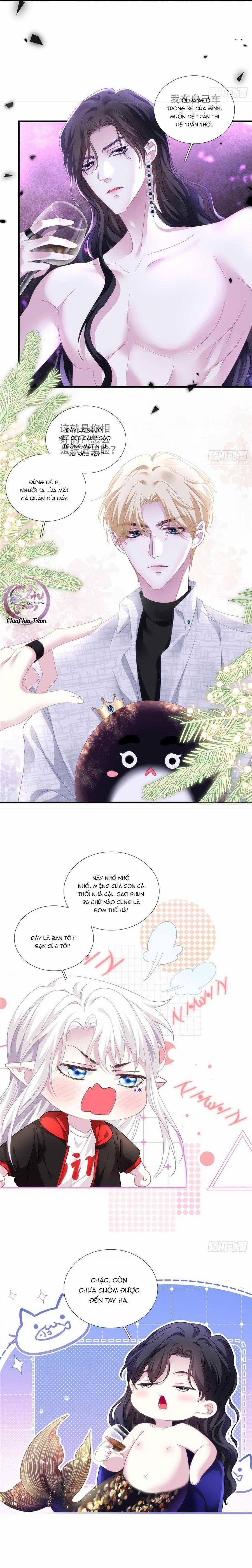 Thánh Tâm Không Dễ Chọc 8 trang 4