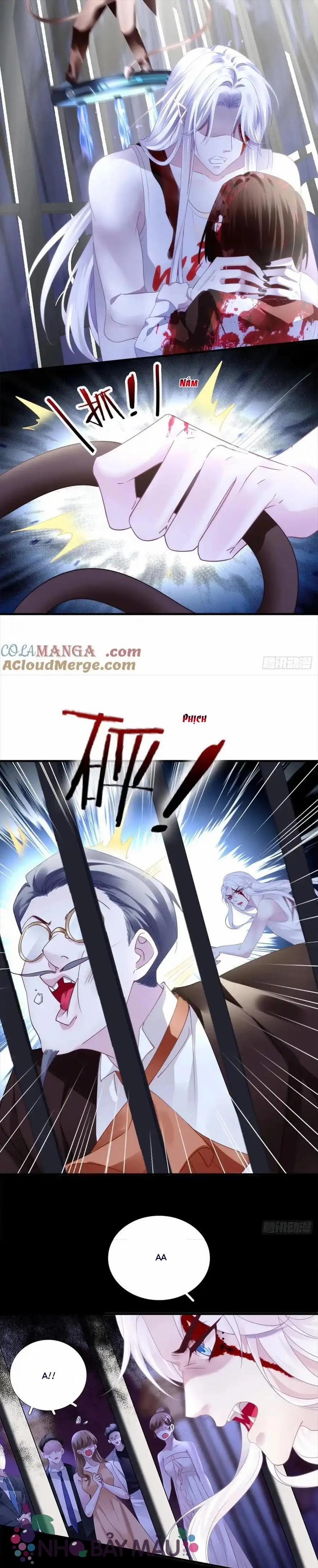 Thánh Tâm Không Khó Trêu Chọc 11 trang 12