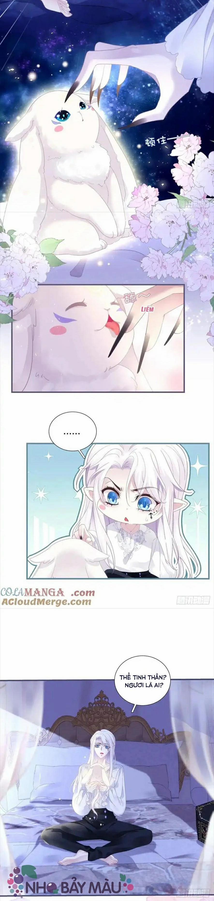 Thánh Tâm Không Khó Trêu Chọc 12 trang 11