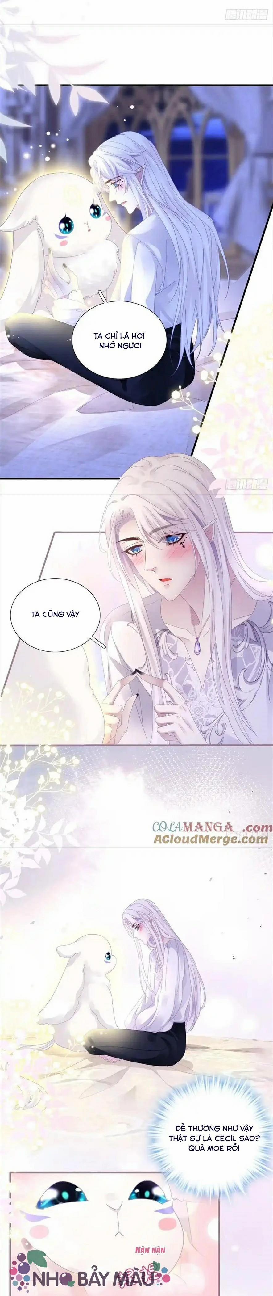 Thánh Tâm Không Khó Trêu Chọc 12 trang 13