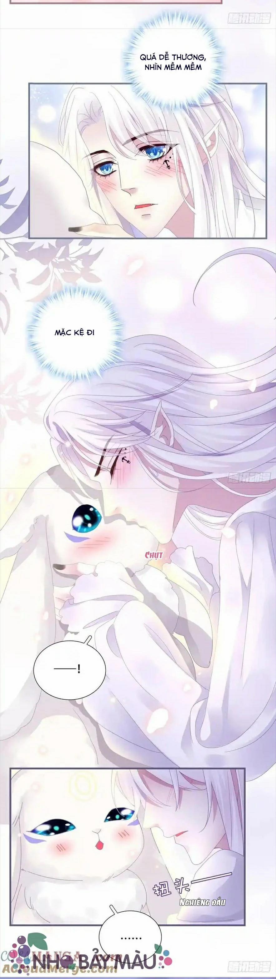 Thánh Tâm Không Khó Trêu Chọc 12 trang 14