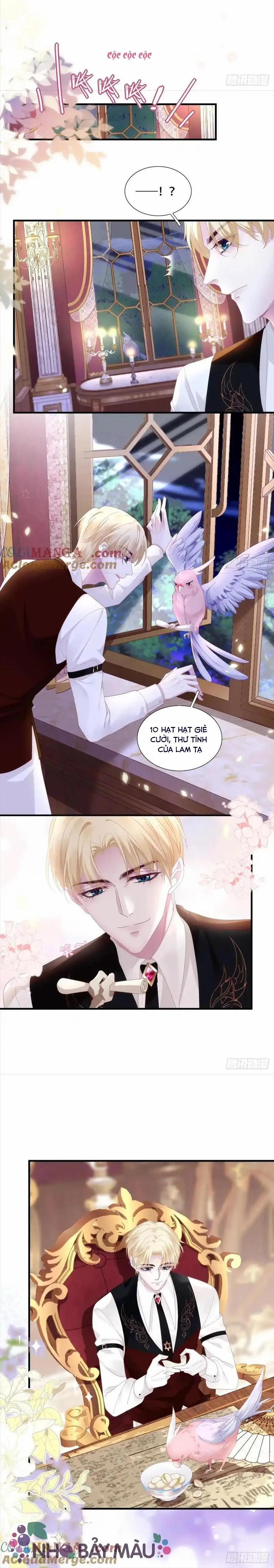 Thánh Tâm Không Khó Trêu Chọc 13 trang 11