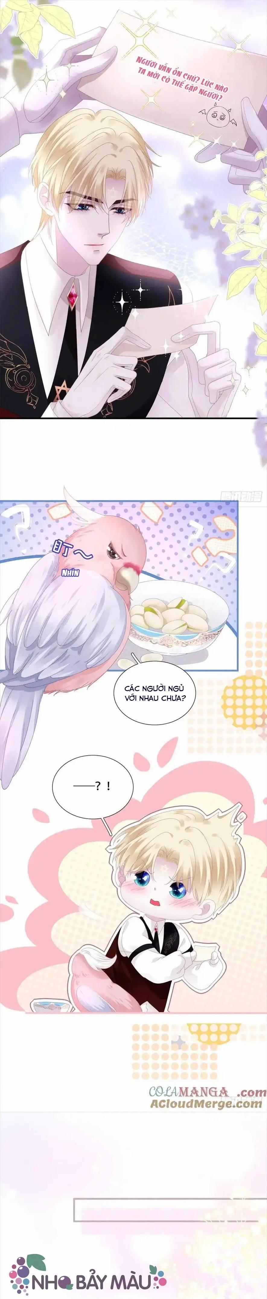 Thánh Tâm Không Khó Trêu Chọc 13 trang 12