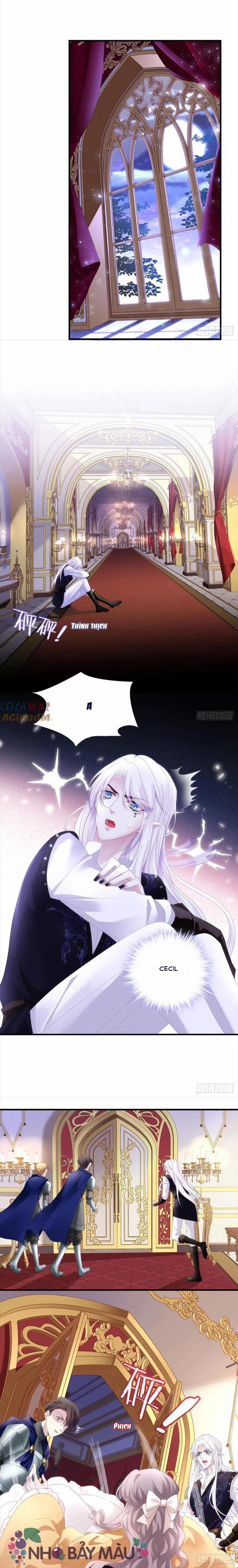 Thánh Tâm Không Khó Trêu Chọc 17 trang 8