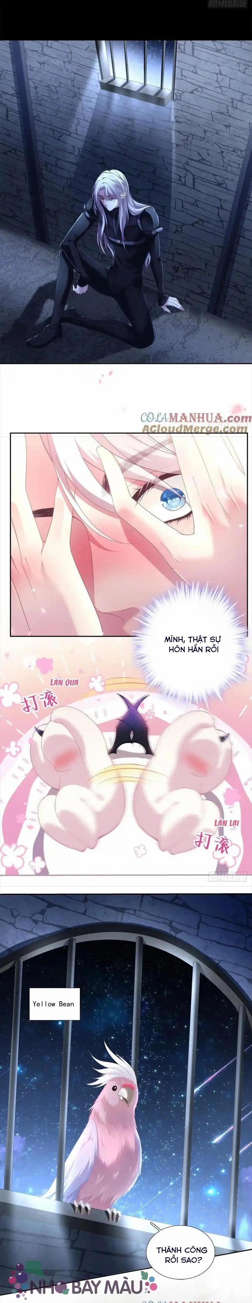 Thánh Tâm Không Khó Trêu Chọc 3 trang 12