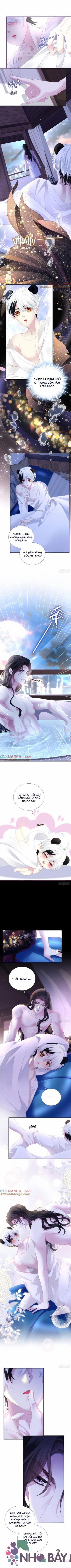 Thánh Tâm Không Khó Trêu Chọc 42 trang 2