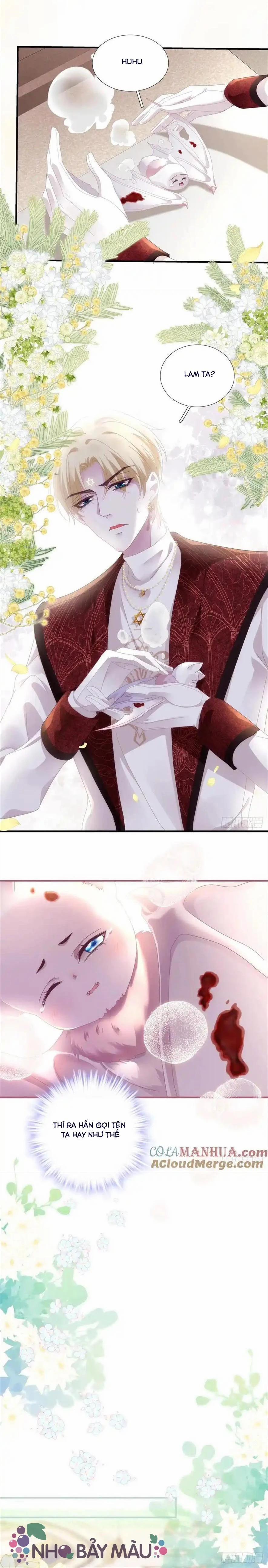 Thánh Tâm Không Khó Trêu Chọc 5 trang 14