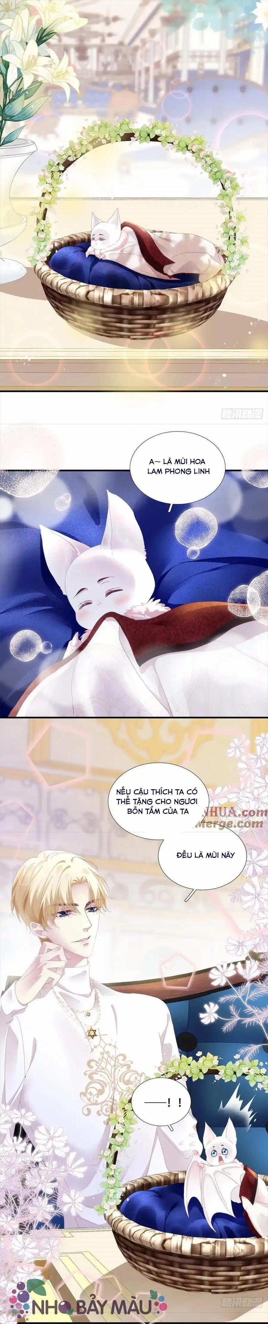 Thánh Tâm Không Khó Trêu Chọc 5 trang 15