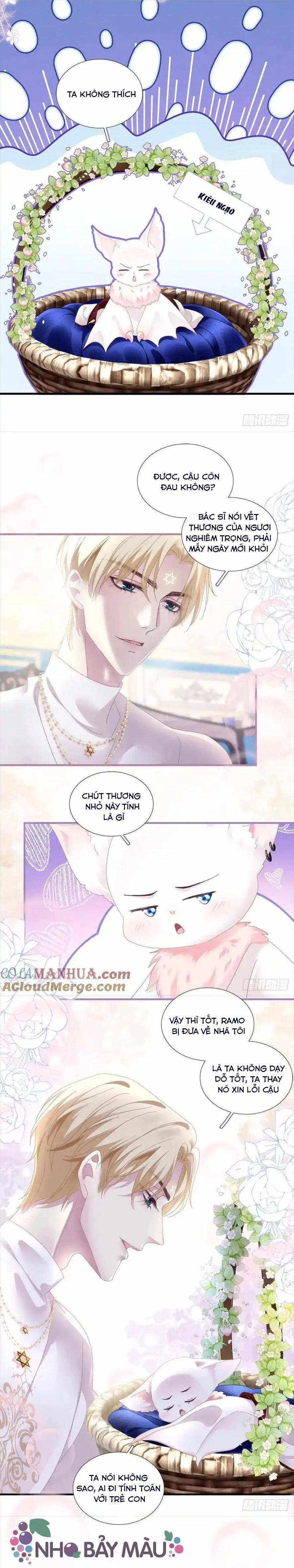 Thánh Tâm Không Khó Trêu Chọc 5 trang 16