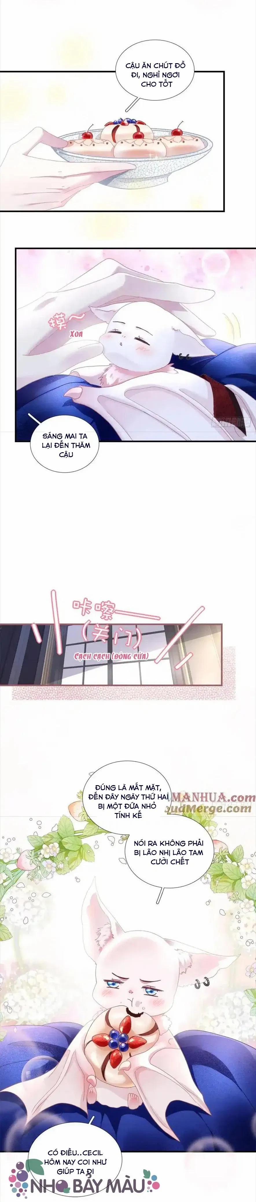 Thánh Tâm Không Khó Trêu Chọc 5 trang 17