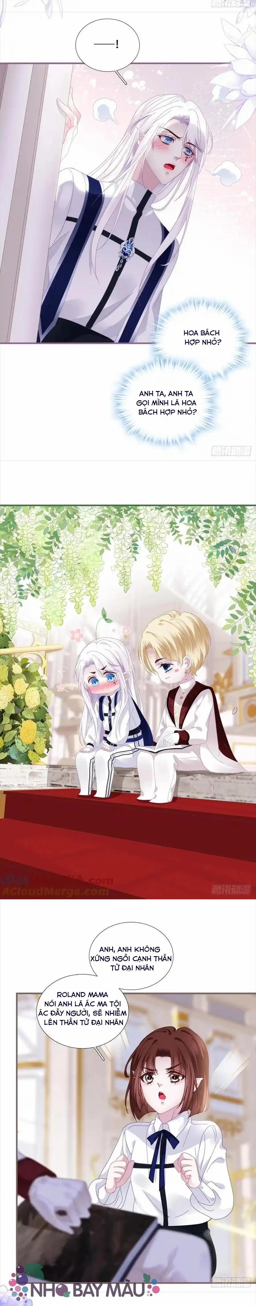 Thánh Tâm Không Khó Trêu Chọc 5 trang 5