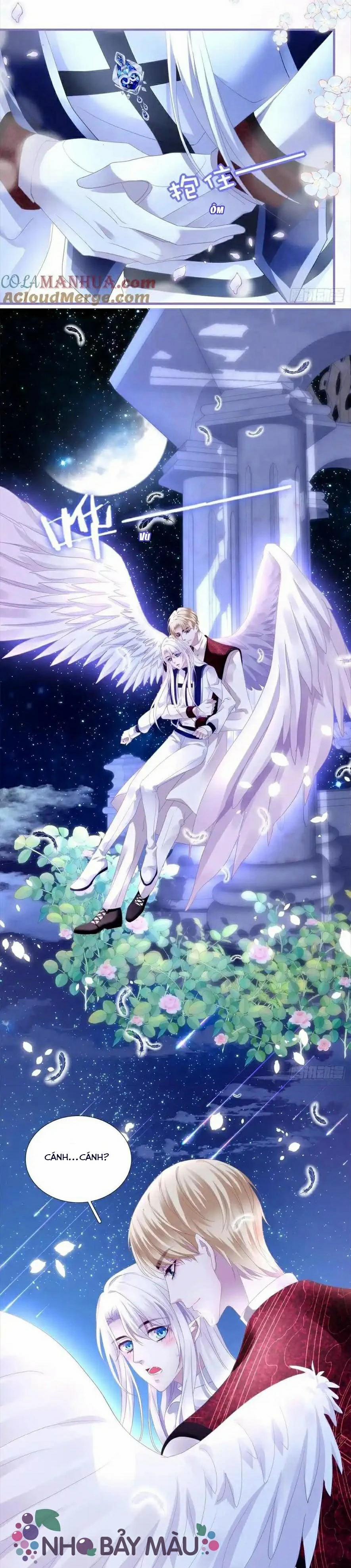 Thánh Tâm Không Khó Trêu Chọc 6 trang 2