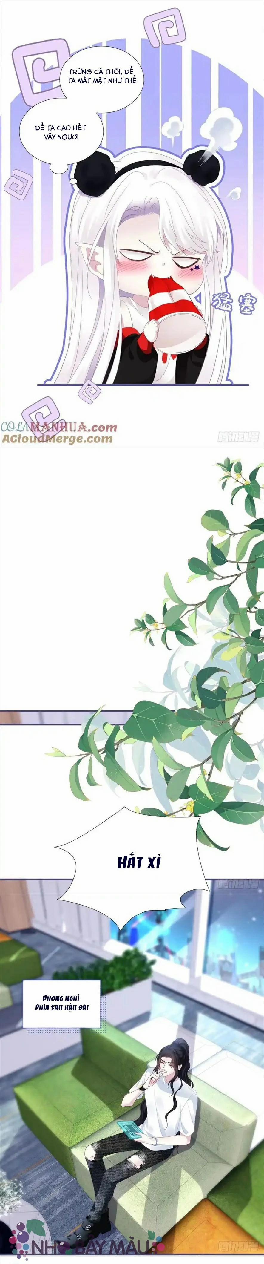 Thánh Tâm Không Khó Trêu Chọc 7 trang 12