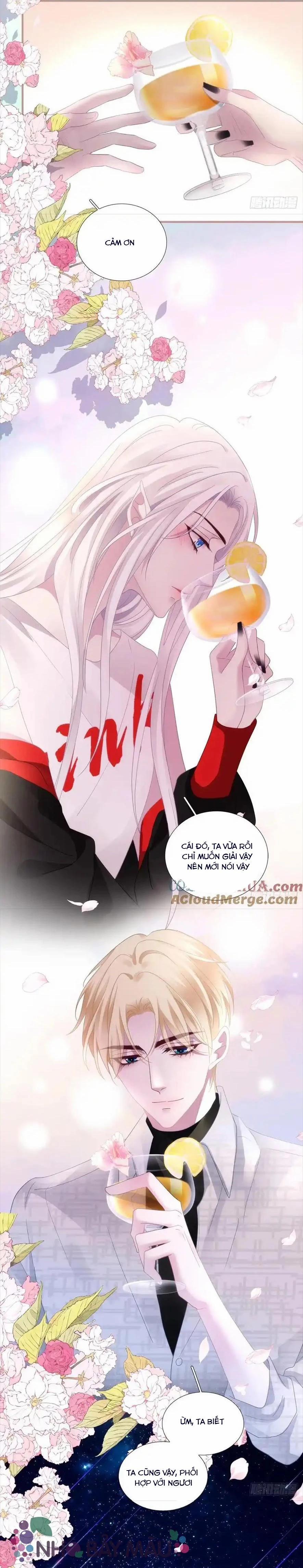 Thánh Tâm Không Khó Trêu Chọc 8 trang 12