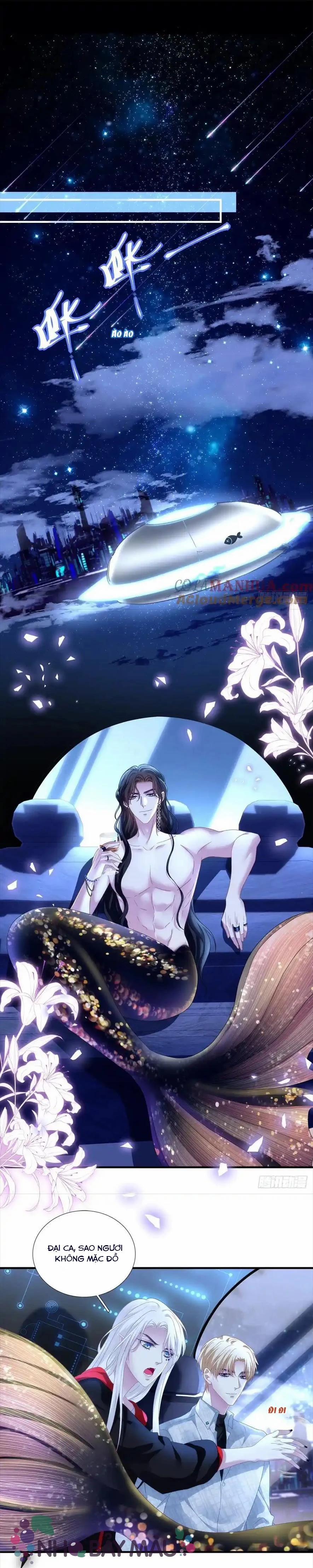 Thánh Tâm Không Khó Trêu Chọc 8 trang 4