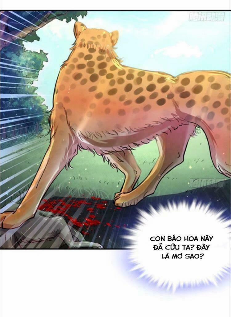 Thảnh Thơi Thú Thế Chủng Chủng Điền, Sinh Sinh Tể 0 trang 10