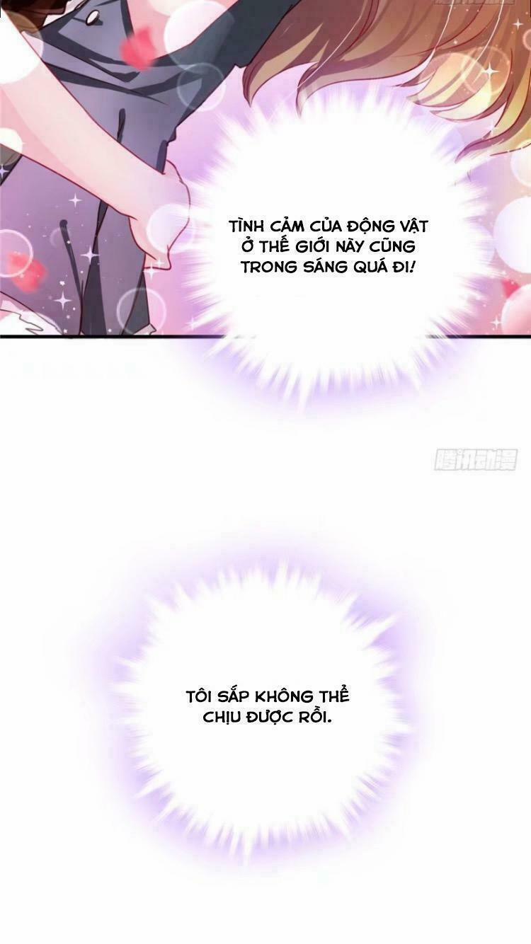 Thảnh Thơi Thú Thế Chủng Chủng Điền, Sinh Sinh Tể 6 trang 27