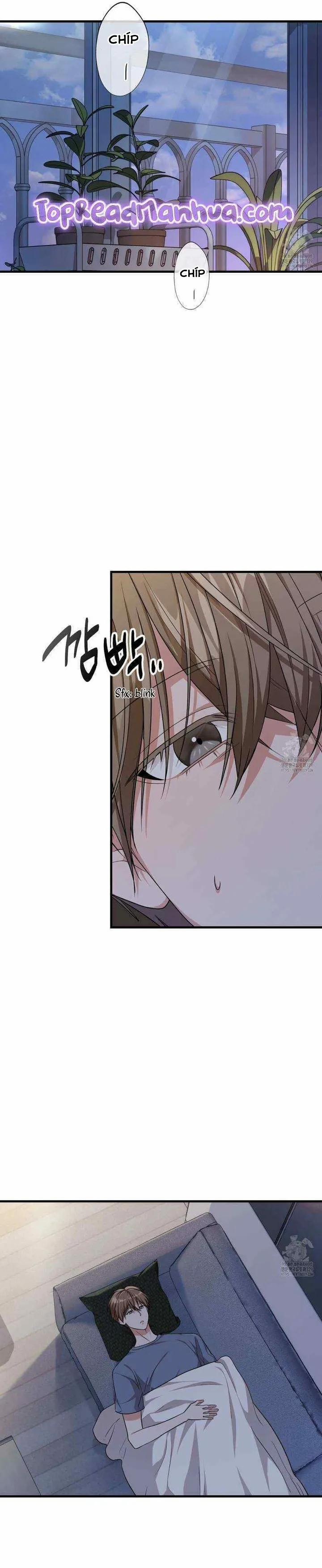 Thành Viên Của Hội Là Hàng Xóm Bên Cạnh 52 trang 11