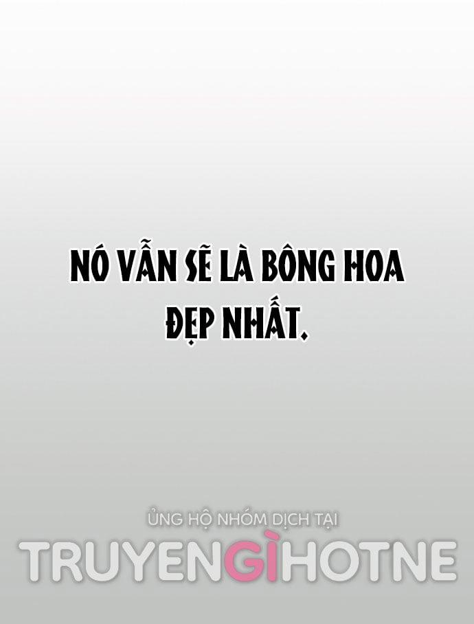 Thanh Xuân Rực Rỡ – Season Of Blossom 128 trang 53