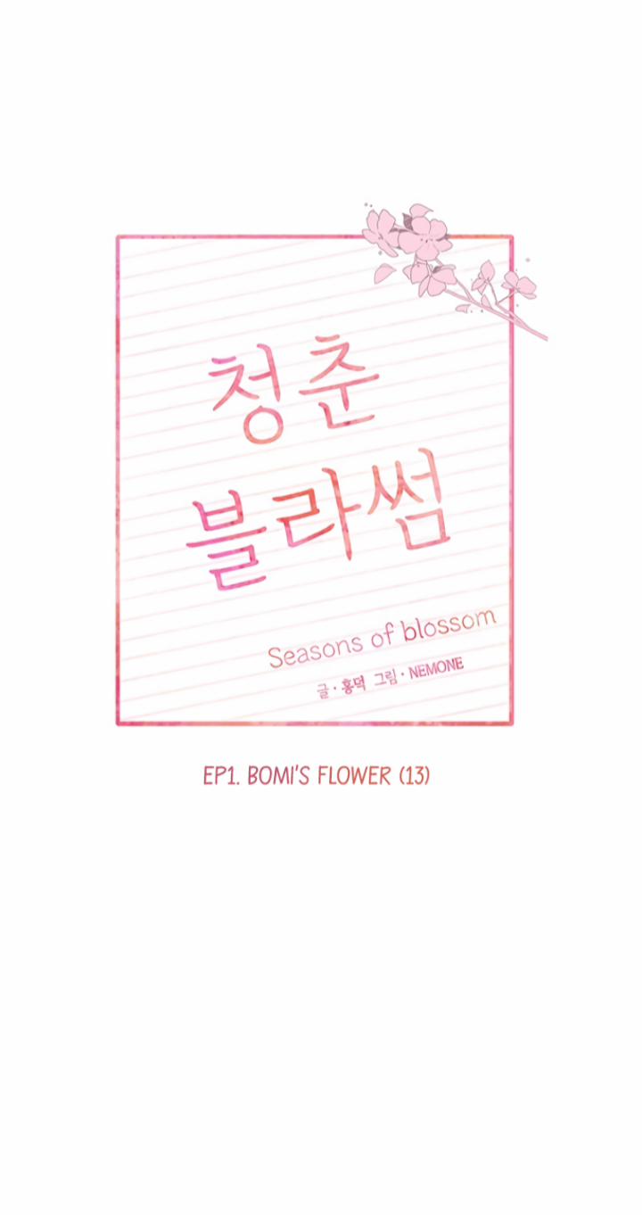 Thanh Xuân Rực Rỡ – Season Of Blossom 13 trang 5