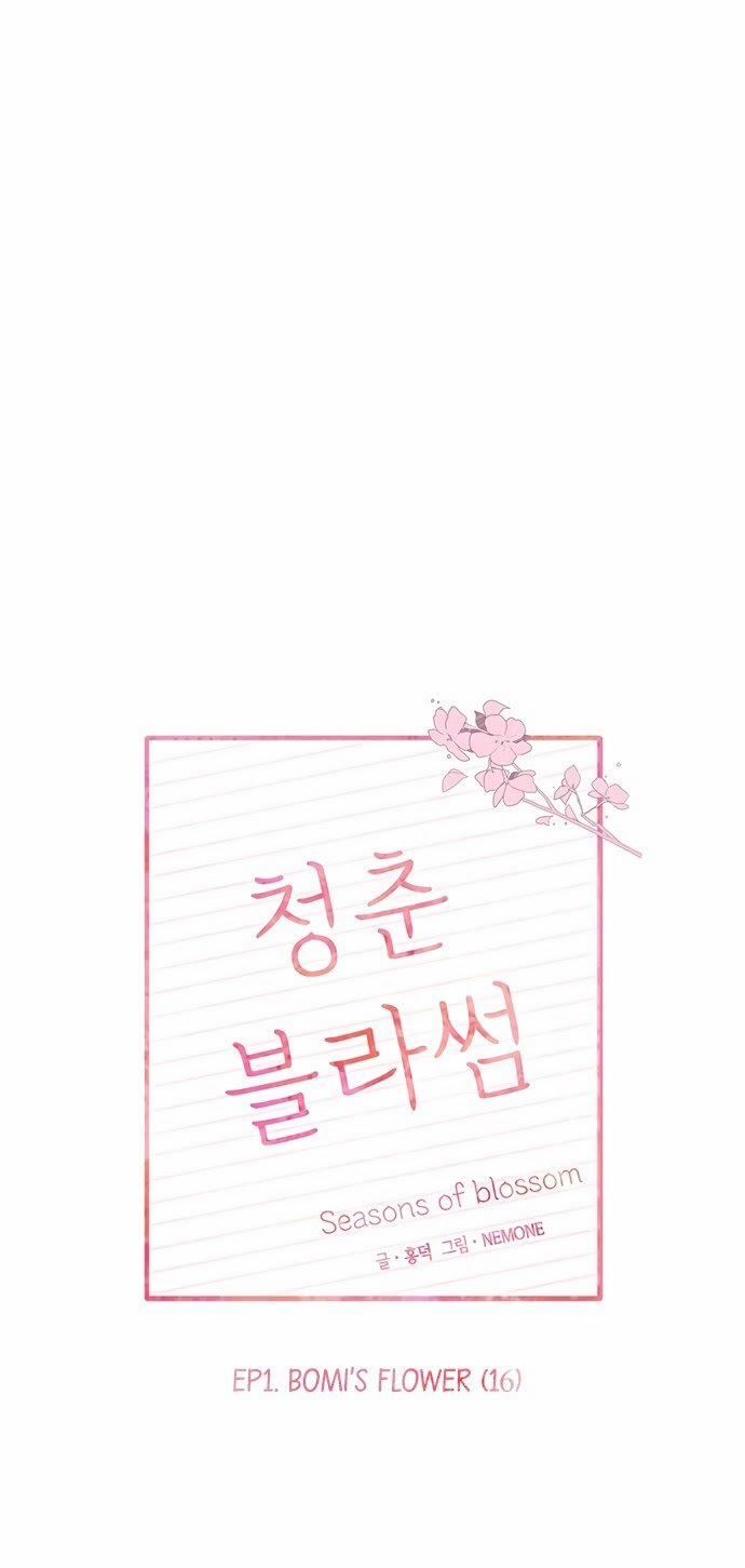 Thanh Xuân Rực Rỡ – Season Of Blossom 16 trang 17